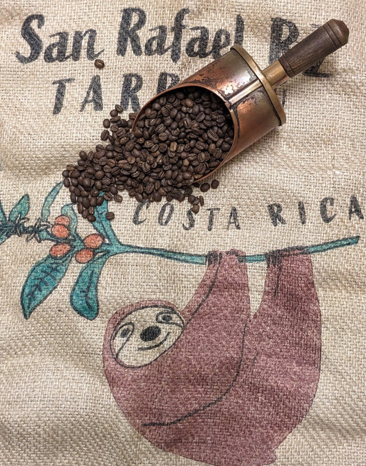 Medium Roast Costa Rica